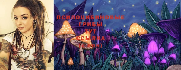 твердый Алексеевка