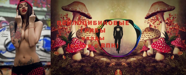 соль курить ск Алексин