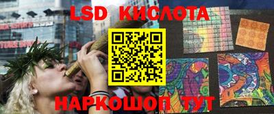 прущие крисы Кандалакша