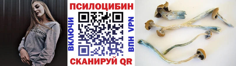 цена   Менделеевск  Галлюциногенные грибы мицелий 