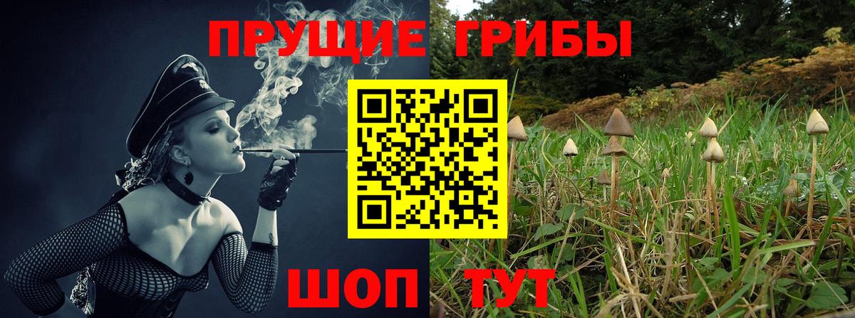 Галлюциногенные грибы Cubensis Менделеевск