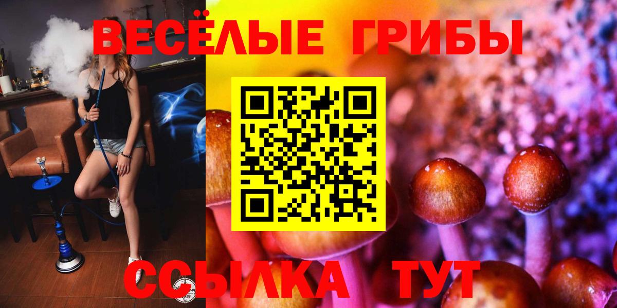 Псилоцибиновые грибы Psilocybe  Галлюциногенные грибы Cubensis  Менделеевск  Вход с VPN 